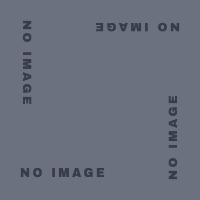 「13月の二人姫」制作中